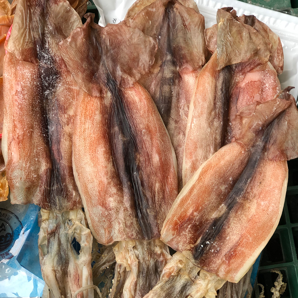 동해안 햇 반건조오징어 소,중,대,왕특대,파품 10마리