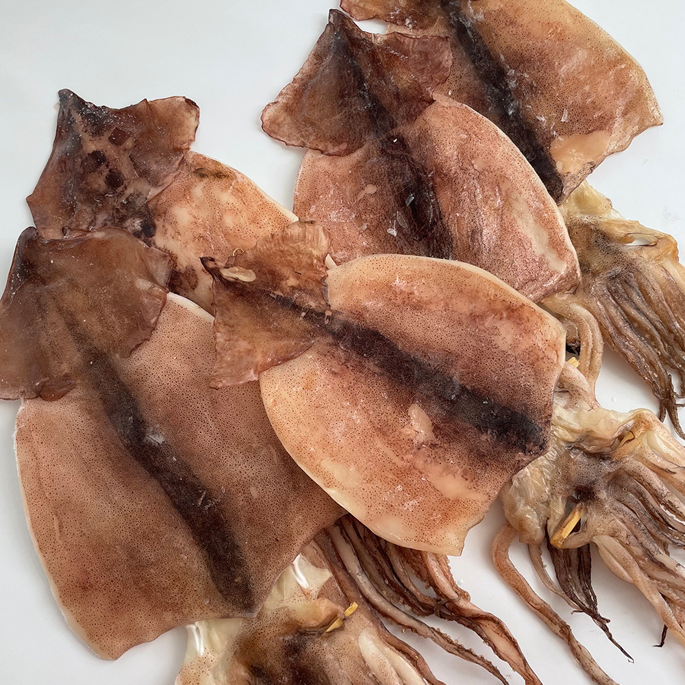 동해안 햇 반건조오징어 소,중,대,왕특대,파품 10마리