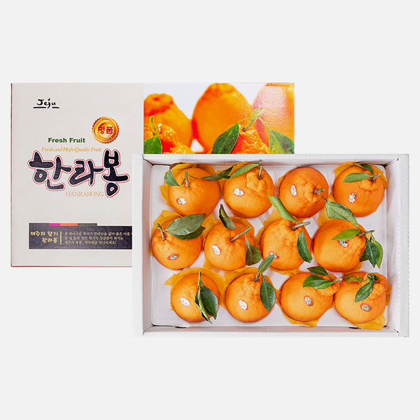 [제주열매] 한라봉 실속/선물용