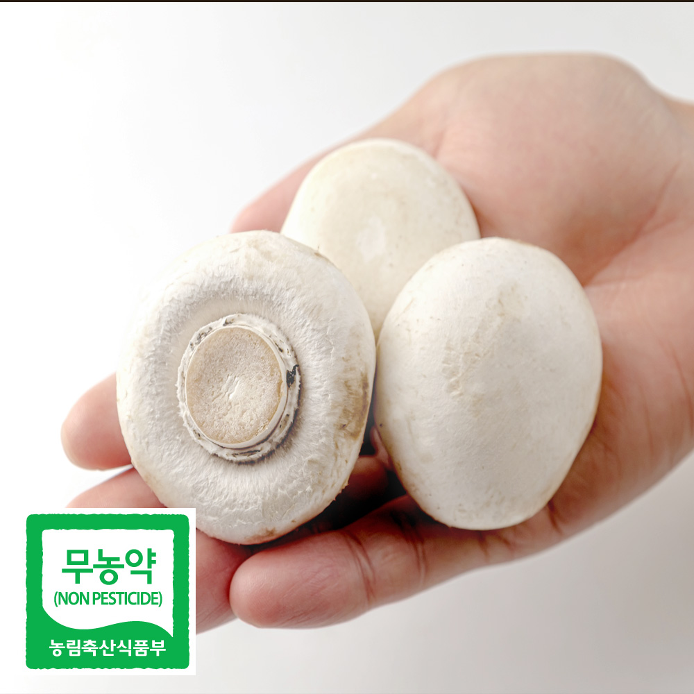 친환경 무농약 부여 양송이 버섯 500g 1kg 2kg 특품 선물용 가정용 꼬마 조리용