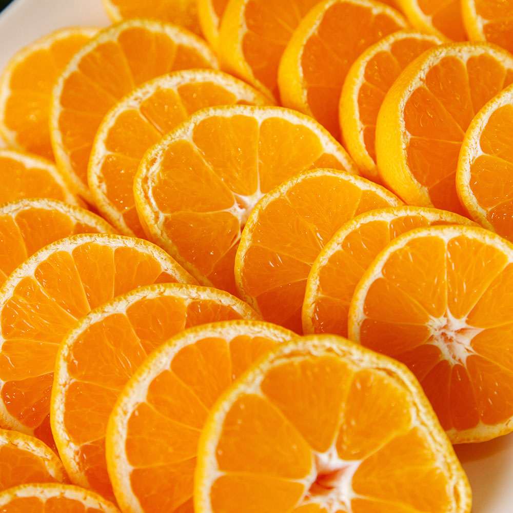 블랙라벨 퓨어스펙 가정용 오렌지 대과 3-10kg