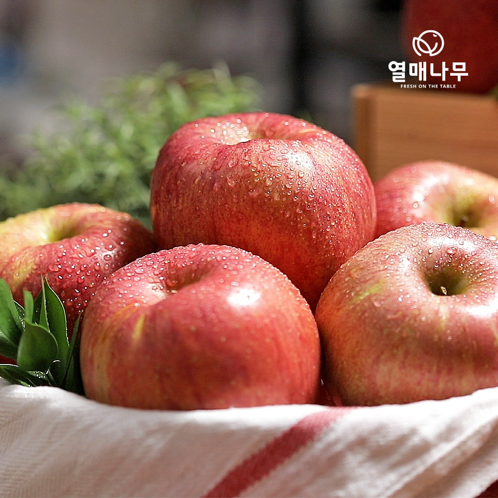 [열매나무]가정용 못난이 사과 2kg~