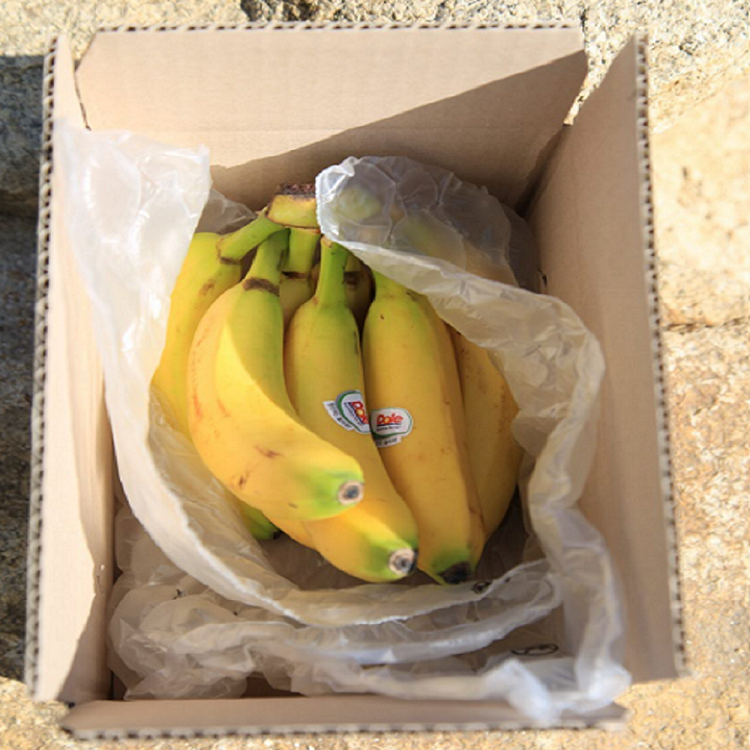 고당도 필리핀 바나나 정품 Dole 돌 바나나
