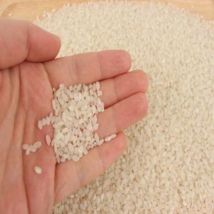 백진주-유기농 게르마늄 함유 백미쌀(1kg/5kg/10kg) 대표이미지 섬네일